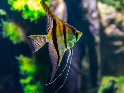 Reliable, Clean, and Well Maintained